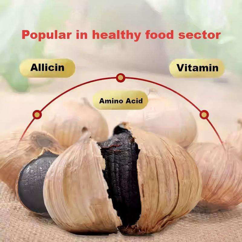 Hd61a7e89051847c99cddd2545cae8ee3H