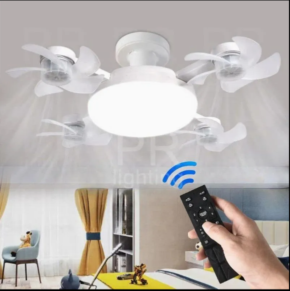 Screenshot 2026-02-24 015818