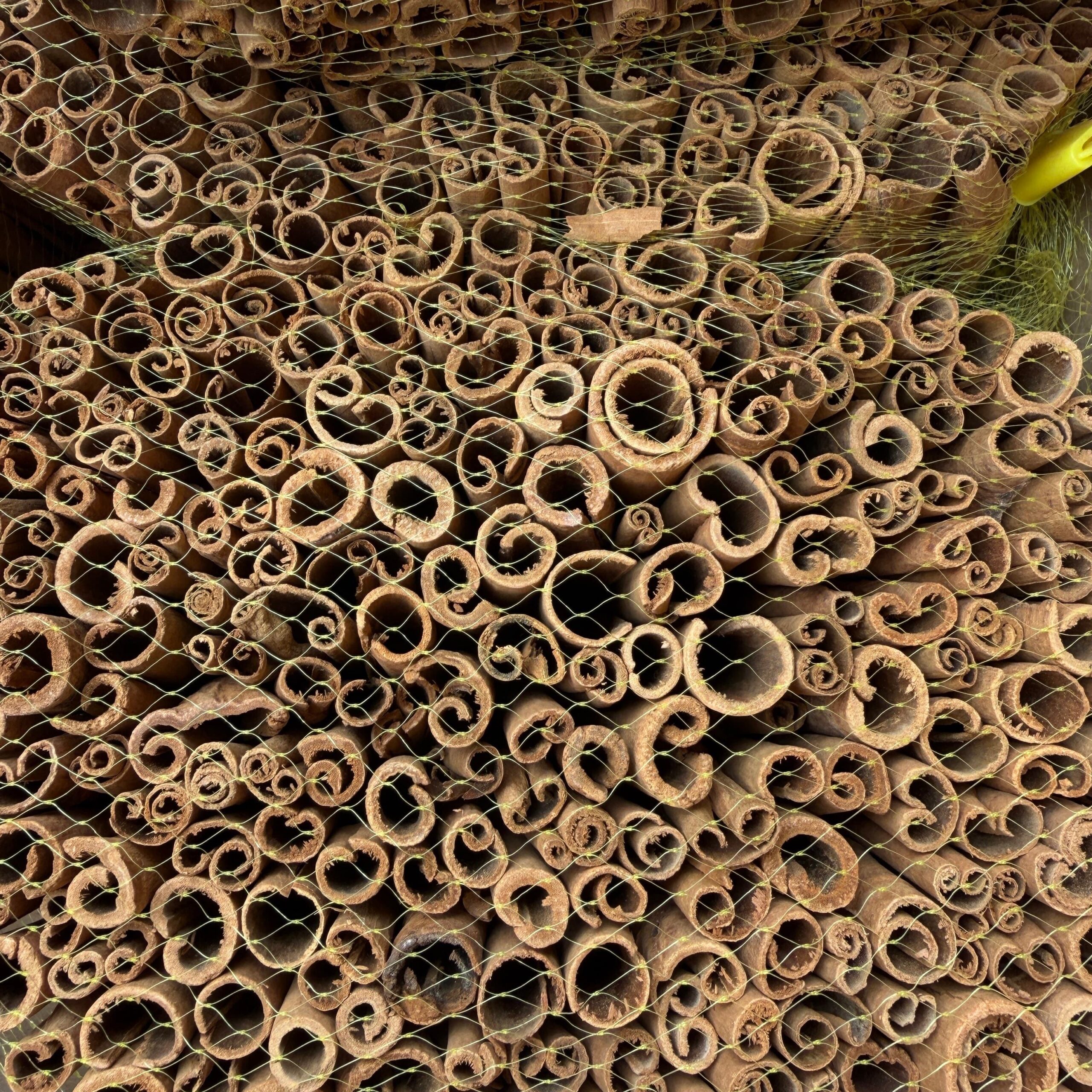 H714cfbc586b74f28b0874c1ef66c9fc2i