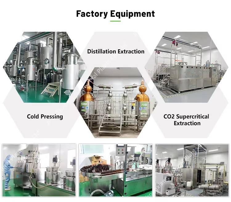 H943af820b9a34629ba702b521db58db2j