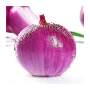 PureCrop Certified Fresh Onion for Global Market