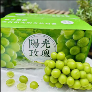 Premium Fresh China Shine Muscat Seedless Grapes