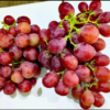 Farm Fresh Premium Muscat Grapes