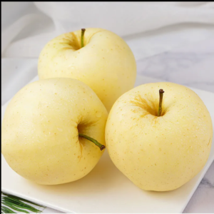 Premium Century Ya Diamond Su Pears