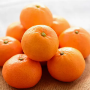Premium Wogan Mandarin Sweet Citrus