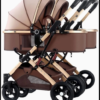 DoubleNest Multi-Position Twin Stroller