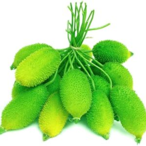 Spiny Gourd - Kakrol