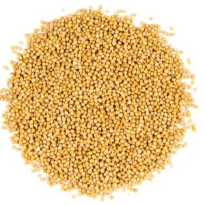 Mustard Seeds